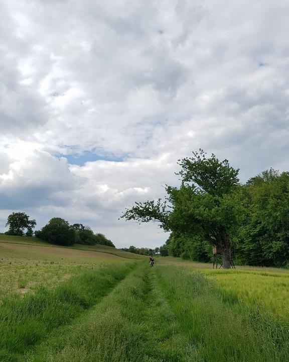 Golfclub Rheinblick